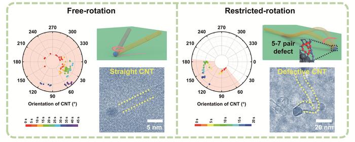 Distinct rotational growth modes of carbon nanotubes