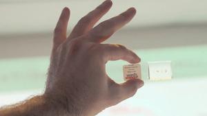 B-roll -- using AI to identify mosquitoes