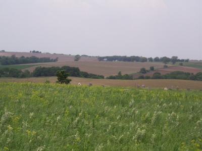 New Garden Cemetery
