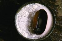 Tejate