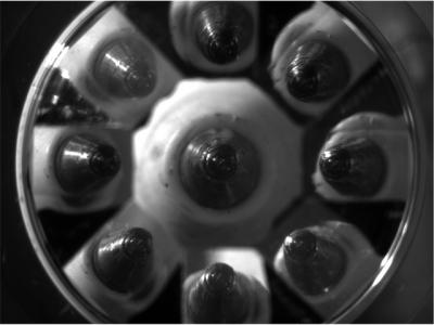 Seeing In Stereo:  Engineers Invent Lens for 3-D Microscope (1 of 3)