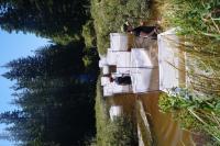 Stickleback Cages