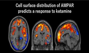 Cell-Surface AMPA Receptor Distribution Predicts Antidepressant Response to Ketamine
