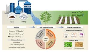 Sources and transport of per- and polyfluoroalkyl substance (PFAS) in agricultural soil–plant systems