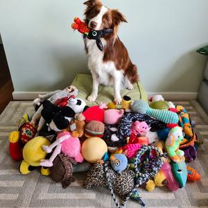 Gaia with a pile of toys