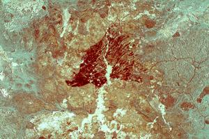 Prehistoric cave painting of two Sulawesi warty pigs, Leang Tedongnge Cave, Sulawesi, Indonesia