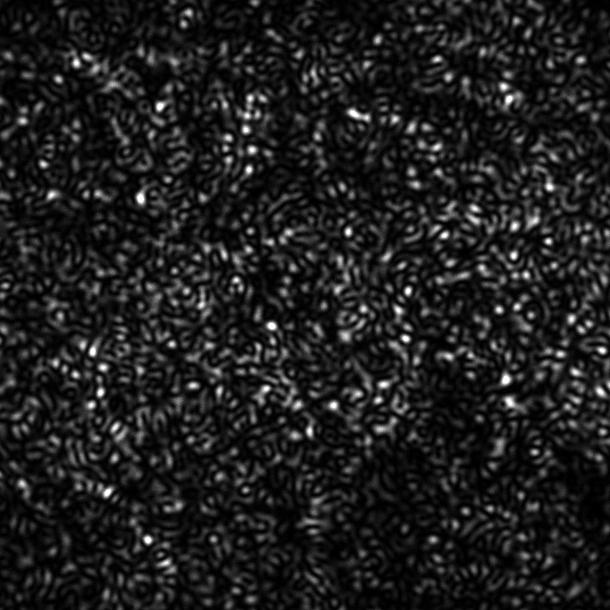 'SAVI' Technique Shines Light on High-resolution, Long-distance Imaging (2 of 7)