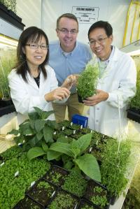 Jilian Fan, John Shanklin, and Changcheng Xu, DOE/Brookhaven National Laboratory
