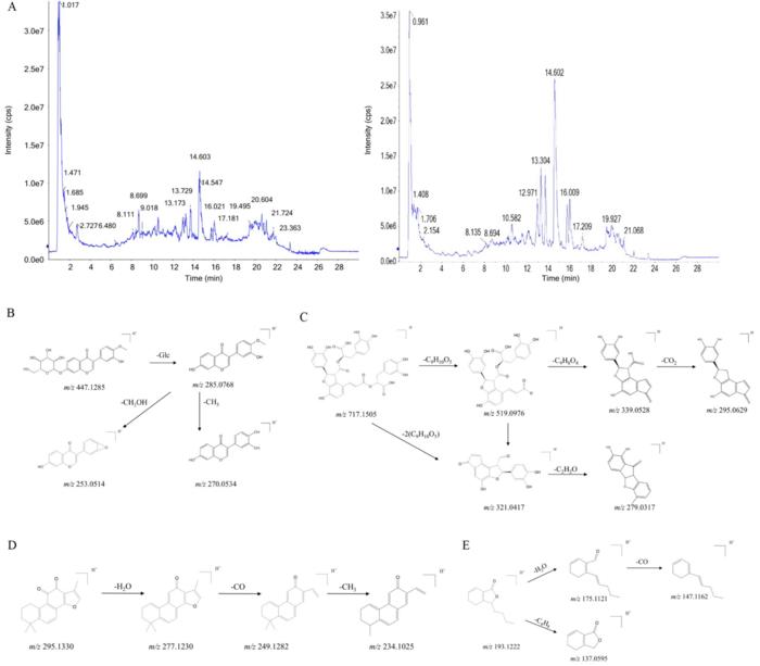 Fig1
