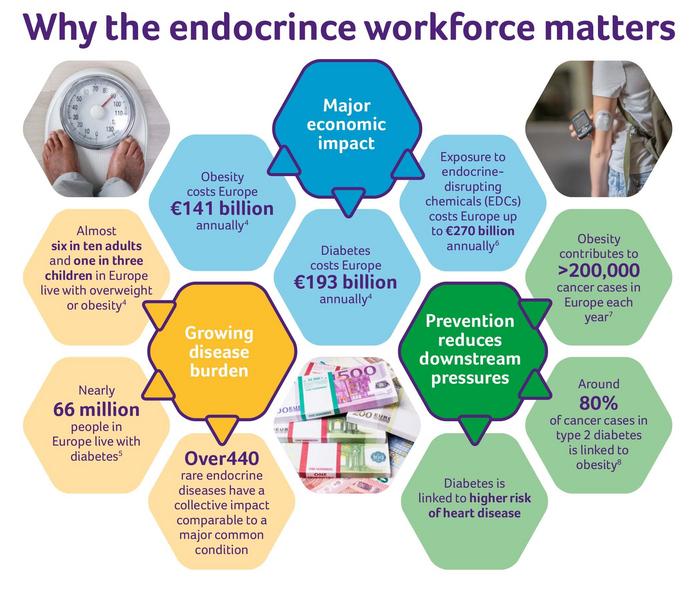 Why the endocrine workforce matters