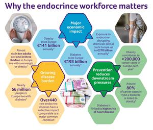 Why the endocrine workforce matters