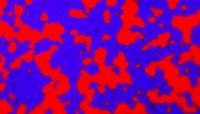 Two Strains of Warring Cholera Bacteria, Close Up