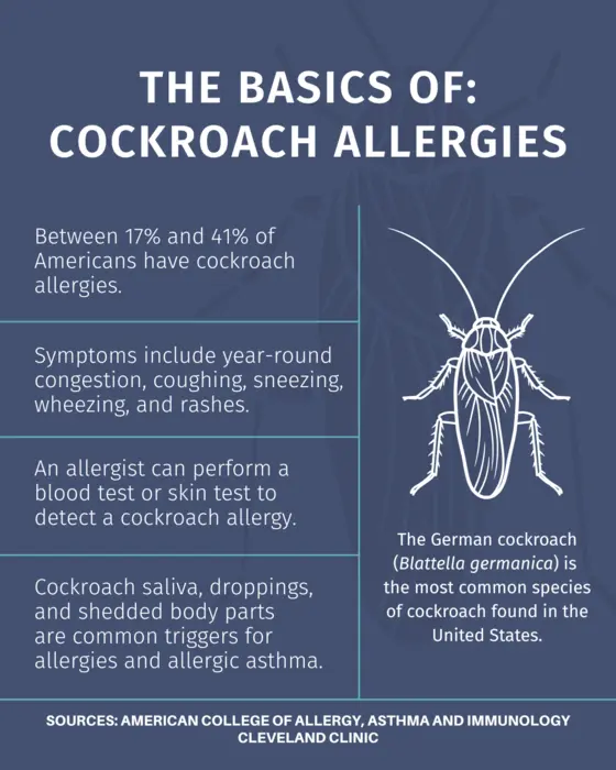 The basics of cockroach allergies
