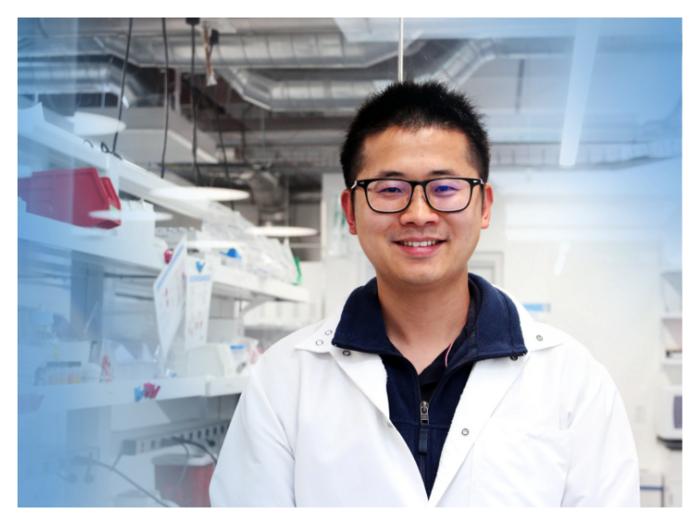 Terasaki Institute Researchers Unveil Rapid Self-Healing Electronic Skin