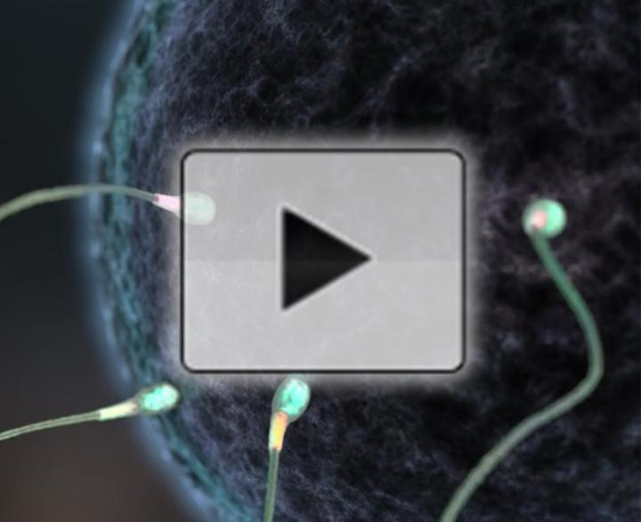 How a 'Star Wars' Parody Turned into a Tool for Scientific Discovery (Video)