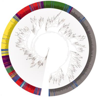 Human Microbiome