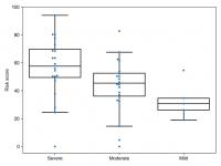 Risk score in a sample of patients from Spain
