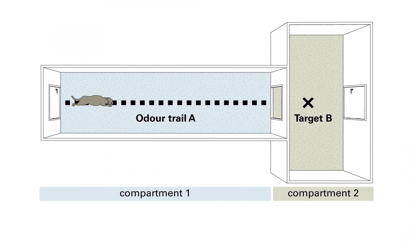 Schematischer Testaufbau
