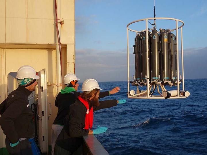 Catching Diatoms