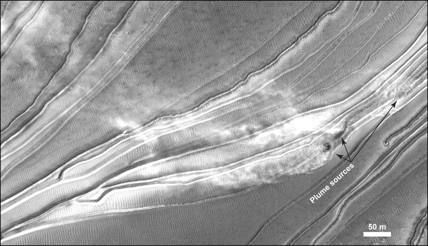 Martian megadune dust plumes