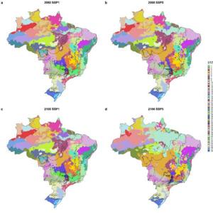 Future distribution of the Seed Transfer Zones