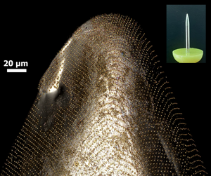 NIST Microprinting