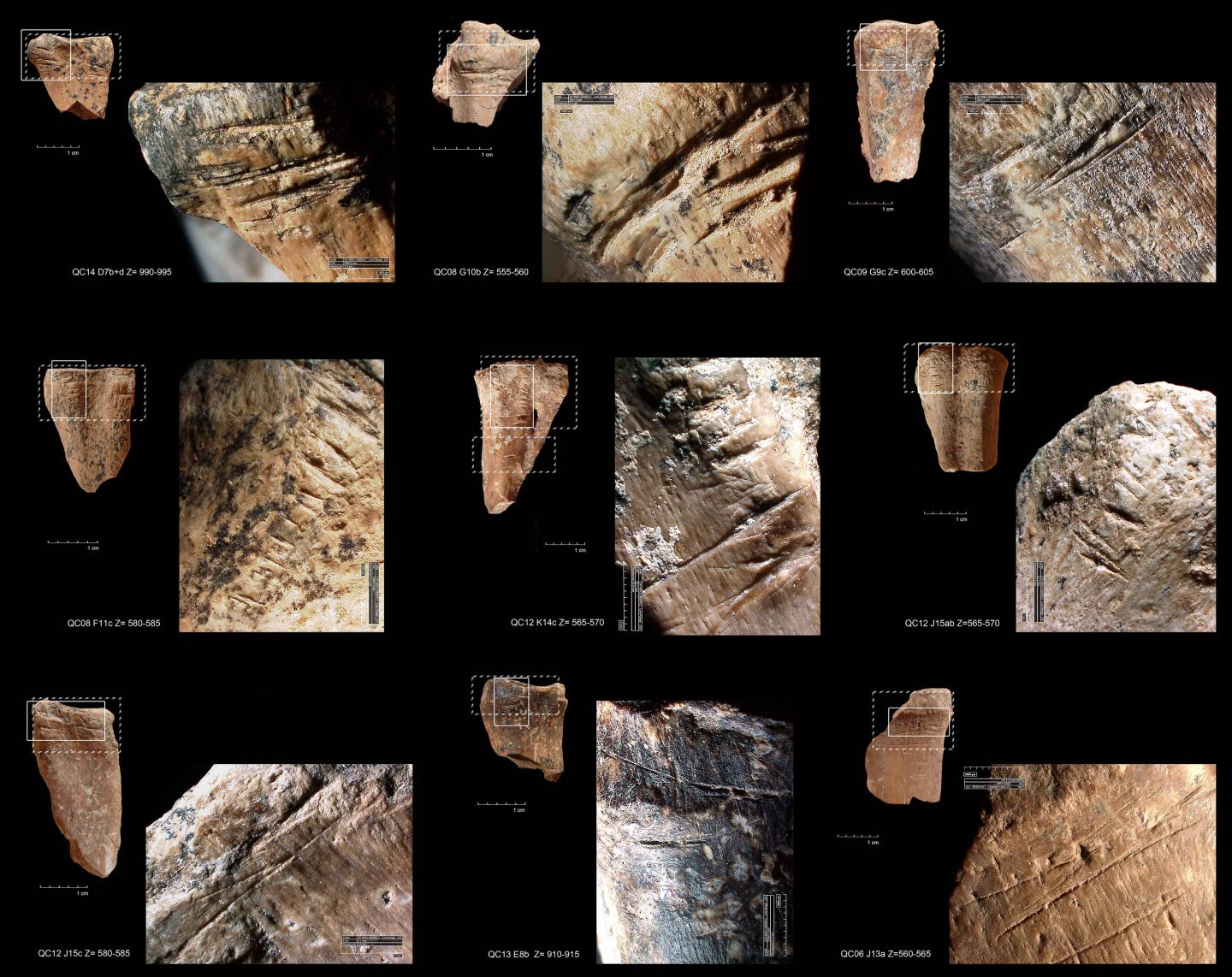 Evidence that Early Humans in Israel Stored Bone Marrow for Future Meals (2 of 2)