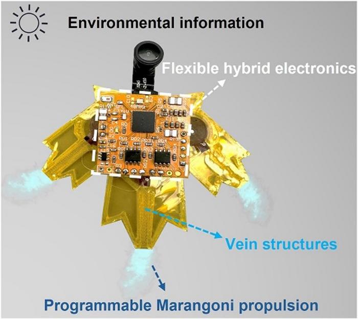 Leaf-inspired aquabot with programmable propulsion and sensing.