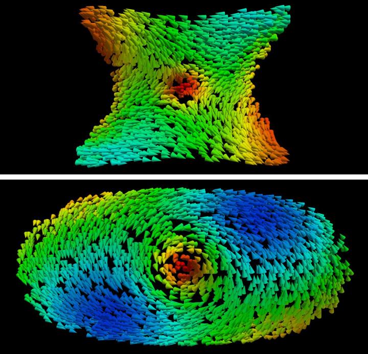 Antivortex, Vortex and Magnetization