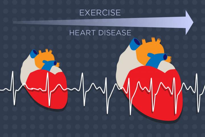 The Dynamic Heart