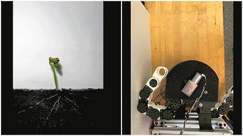 Robo-plant