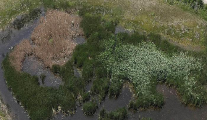High precision application with a drone