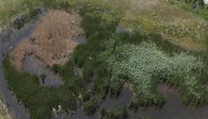 High precision application with a drone
