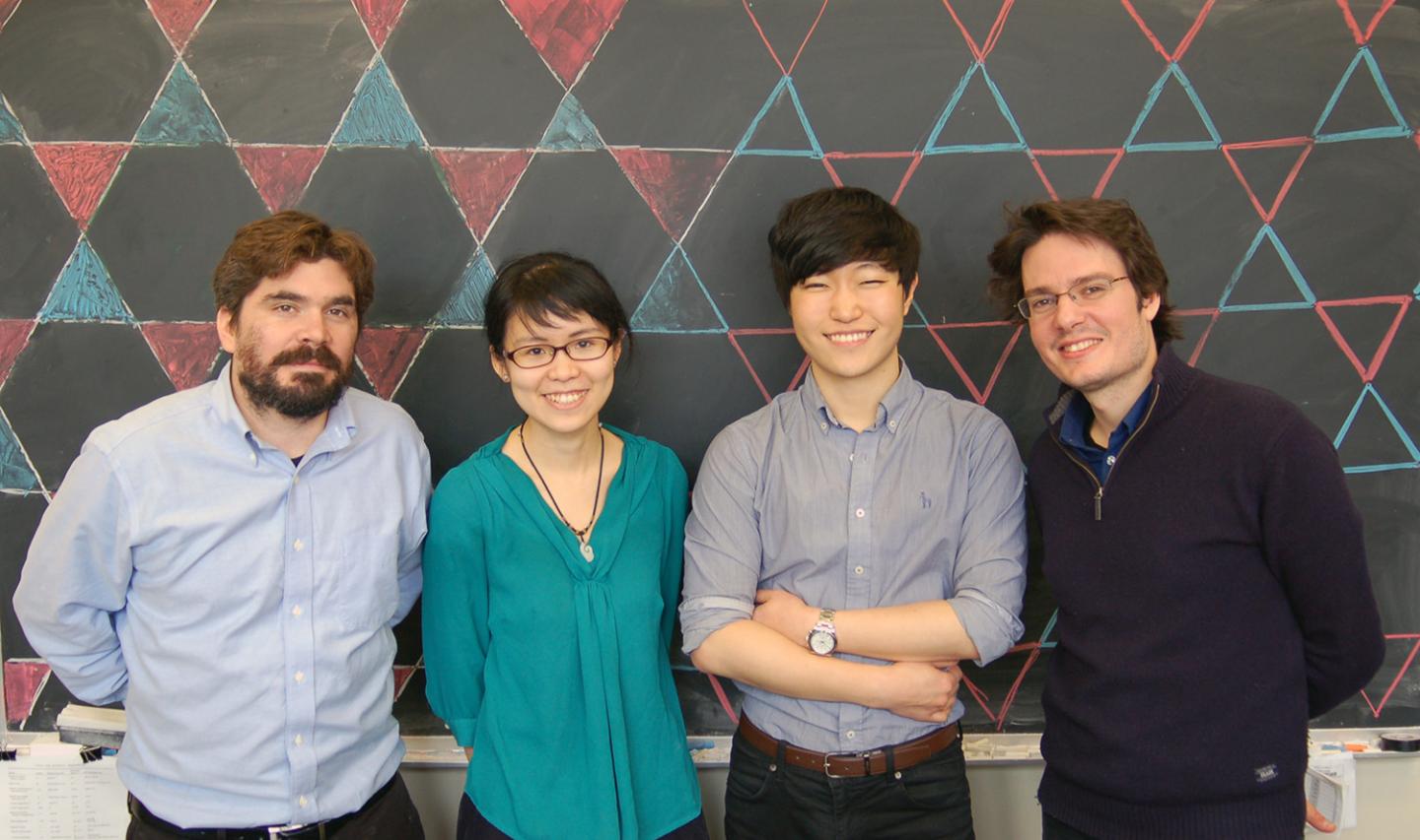 Kagome Metal Researchers