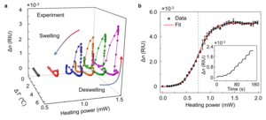 Probing the phase transition dynamics of PNIPA