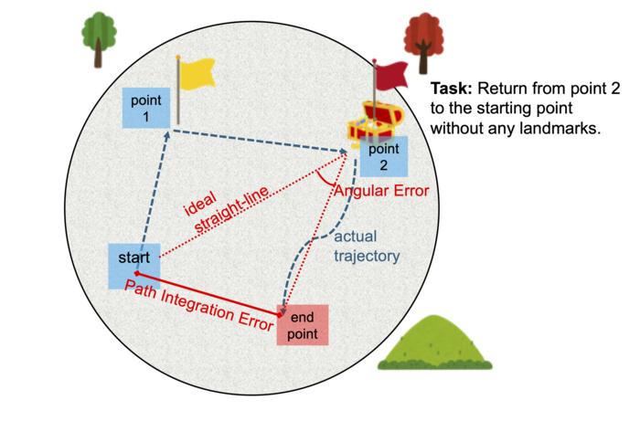 Three-dimensional virtual reality (3D VR) task