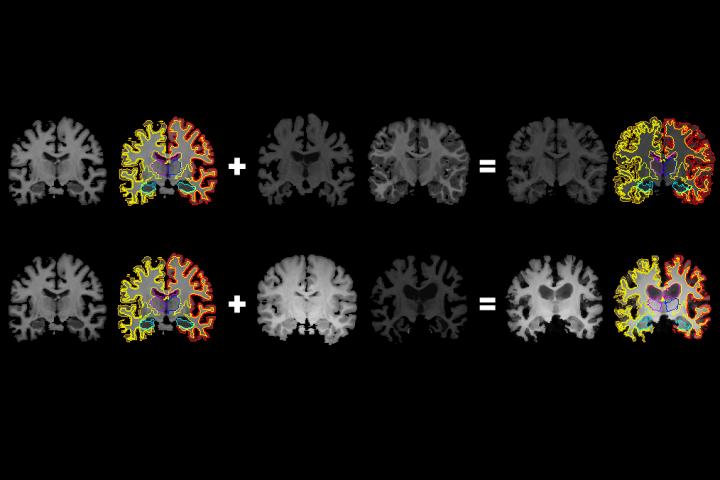 More Information for Medical Artificial Intelligence
