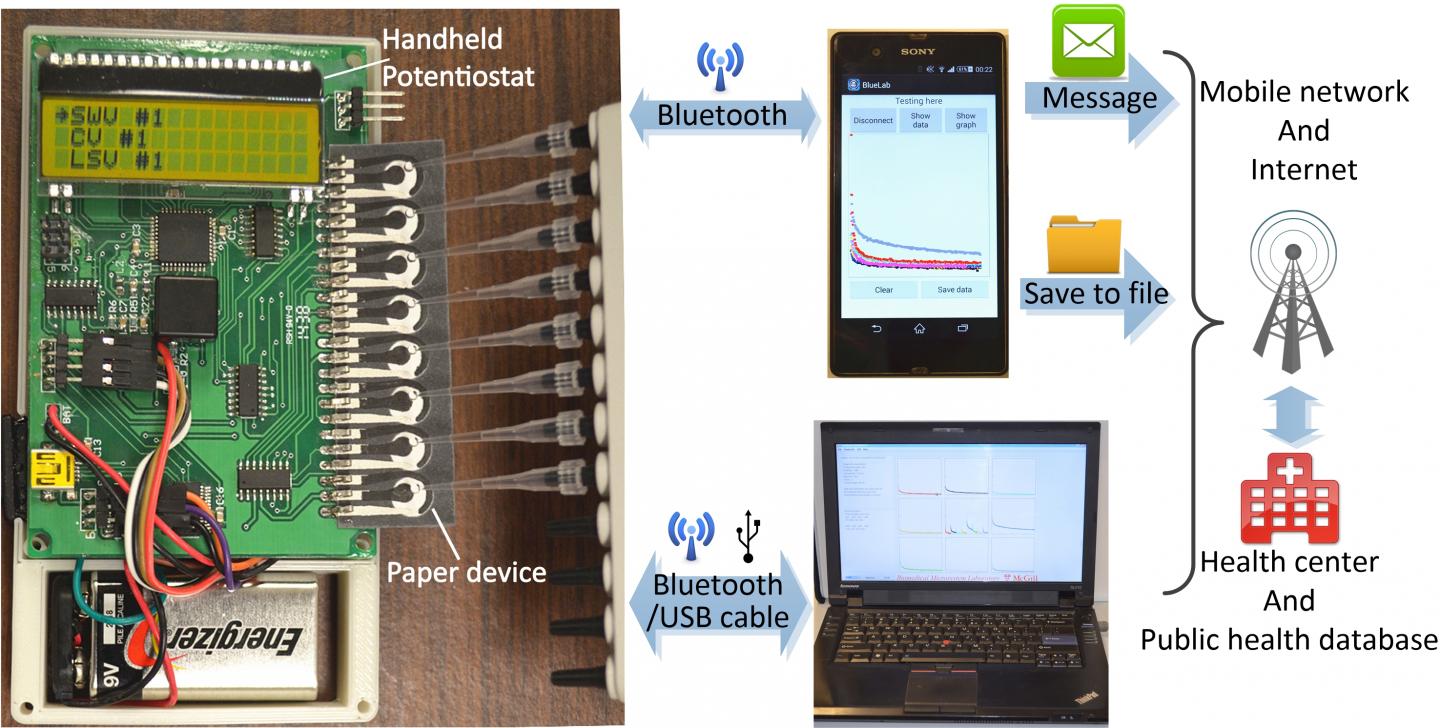 The Diagnostic Platform