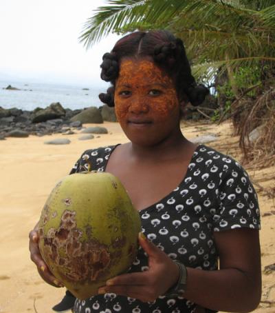 What a Coconut Looks Like
