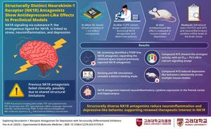Structurally distinct neurokinin-1 receptor antagonists show antidepressant-like effects in preclinical models