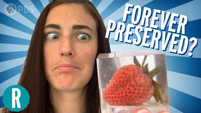 Can we preserve a strawberry forever? (video)