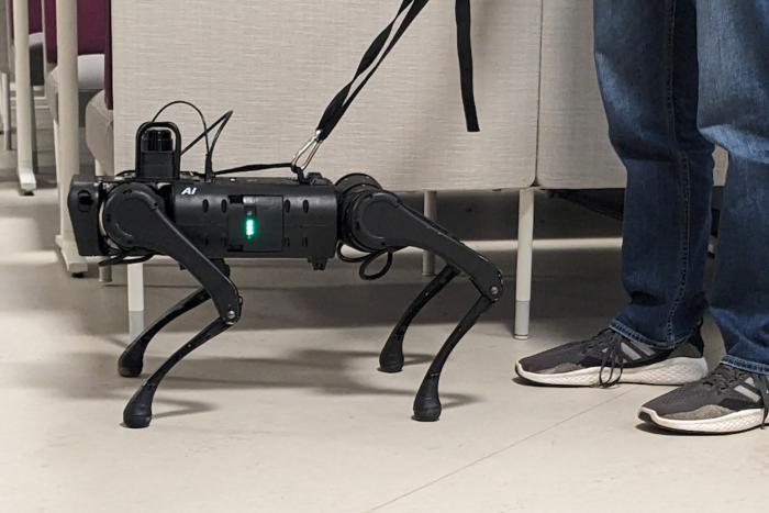 Robot seeing-eye dog