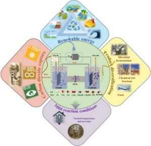 Renewable CO₂ Conversion System Using Copper Catalysts