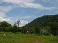 Collecting Artifacts at Tlaxcallan