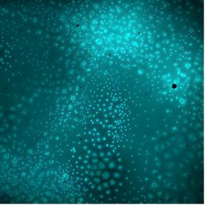 Microtubule asters in cytoplasmic extract of the African clawed frog Xenopus laevis.
