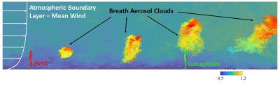 Large-Eddy Simulation Results Of The Aerosol
