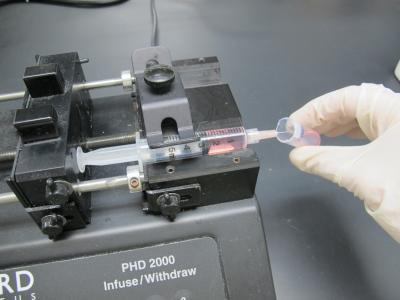 Syringe Shear Test