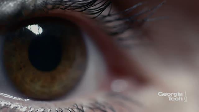 Brain Mechanisms That Give You Confidence About Seeing What You're Seeing