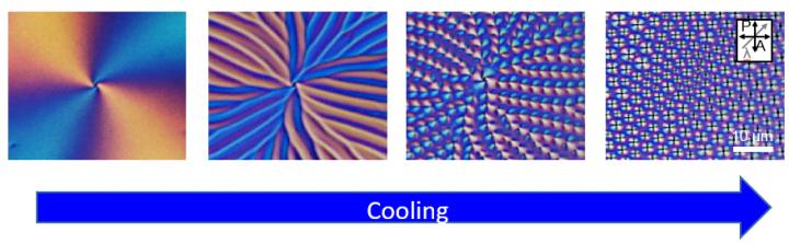 Phase Transition