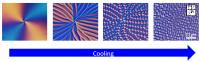Phase Transition